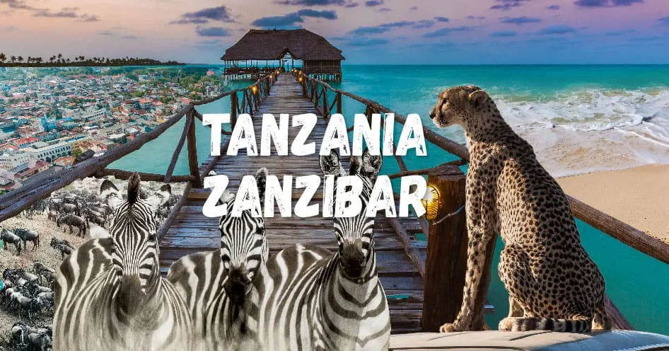 แทนซาเนีย - แซนซิบาร์ (Tanzania - Zanzibar)