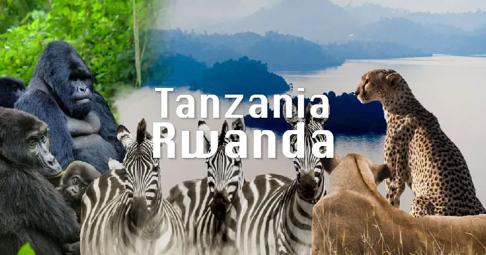 แทนซาเนีย - รวันดา (Tanzania - Rwanda)